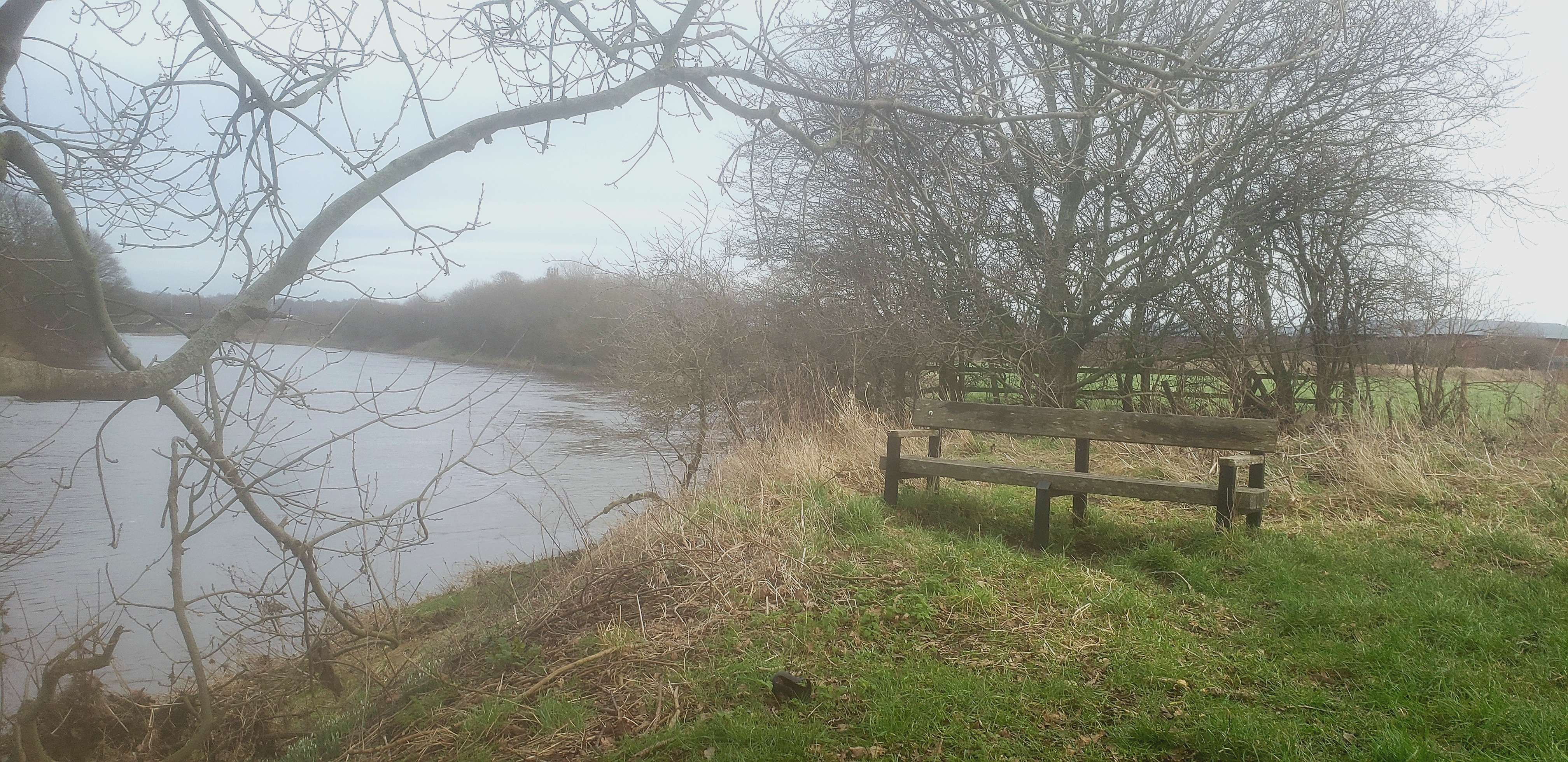 A bench beside a river