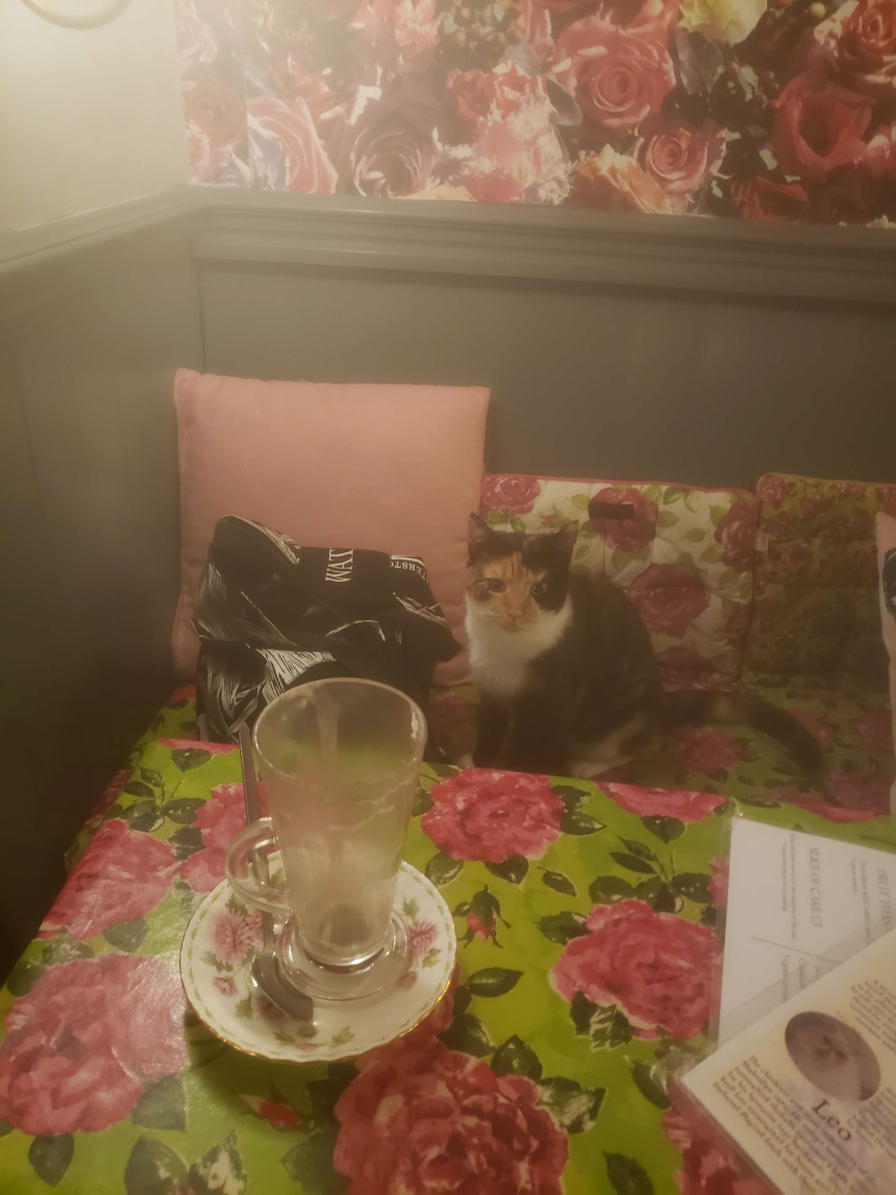 A calico cat sitting at a table with an empty glass.