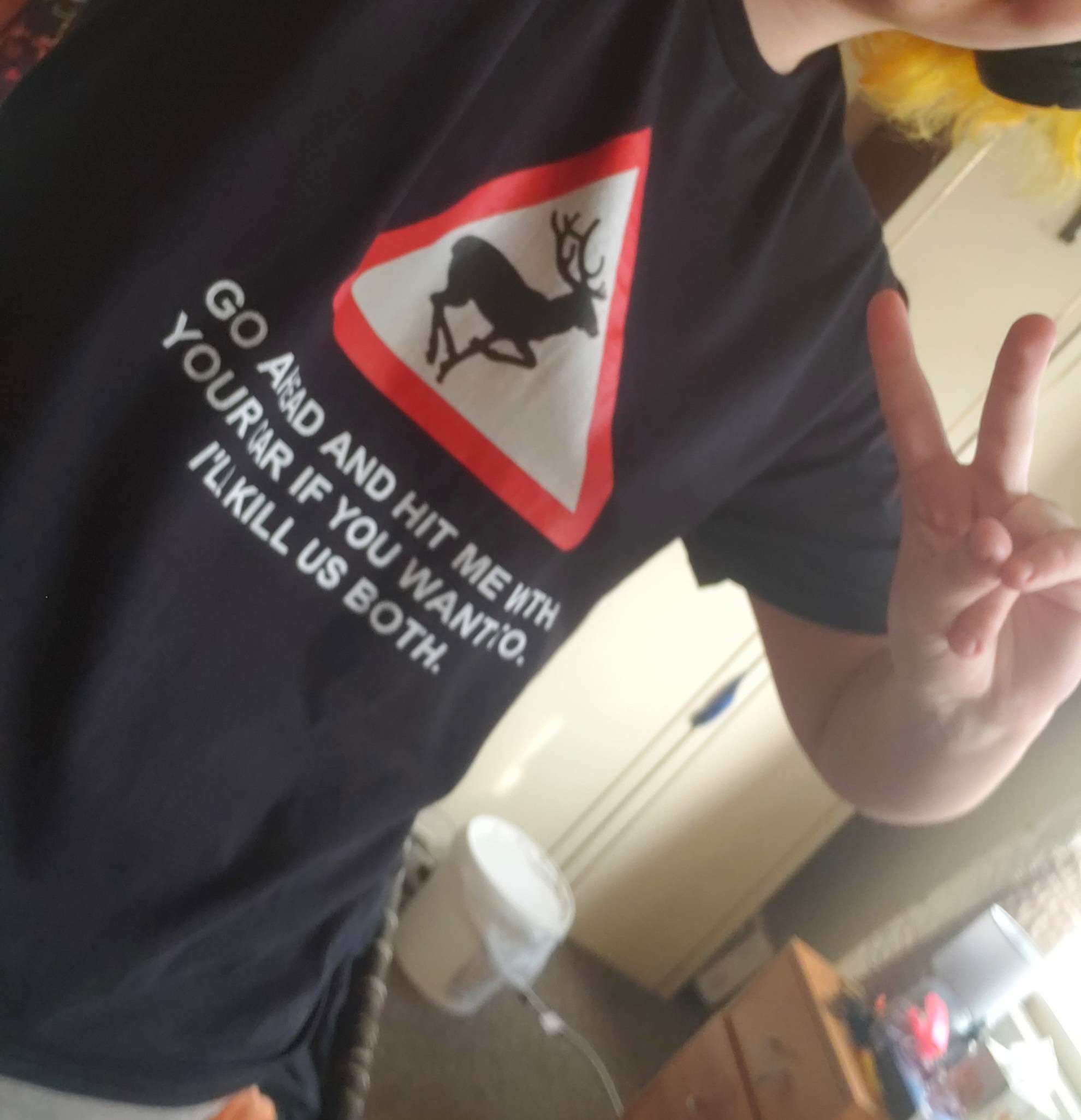 The front of the shirt. It has a deer road warning sign, under which is written 'Go ahead and hit me with your car if you want to. I'll kill us both.' The webmaster gives a peace sign.