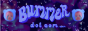 Bummerdotcom
