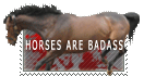 Horses are badass!!