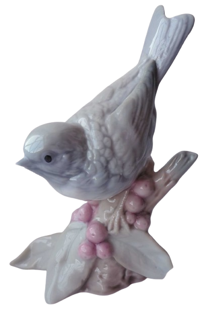 Grey bird